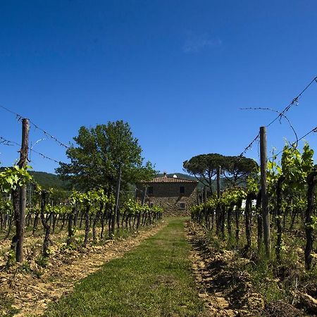 Agriturismo La Concezione カスティリオーン・フィボッキ エクステリア 写真