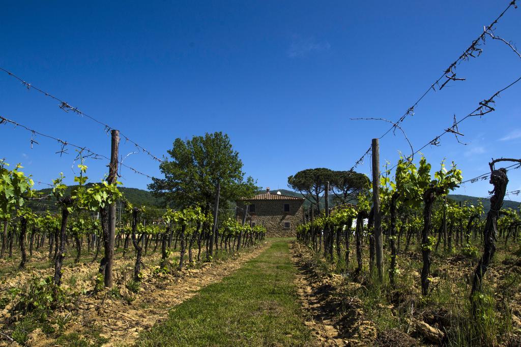 Agriturismo La Concezione カスティリオーン・フィボッキ エクステリア 写真